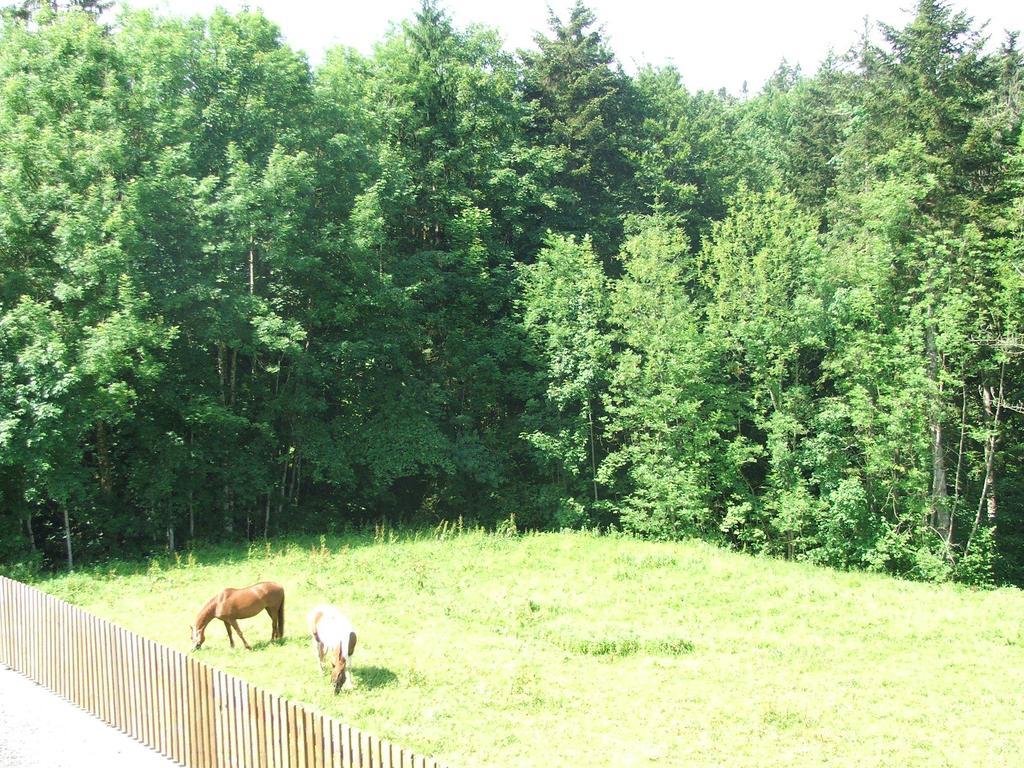 Pension Jagerheim Krumbach  Bagian luar foto